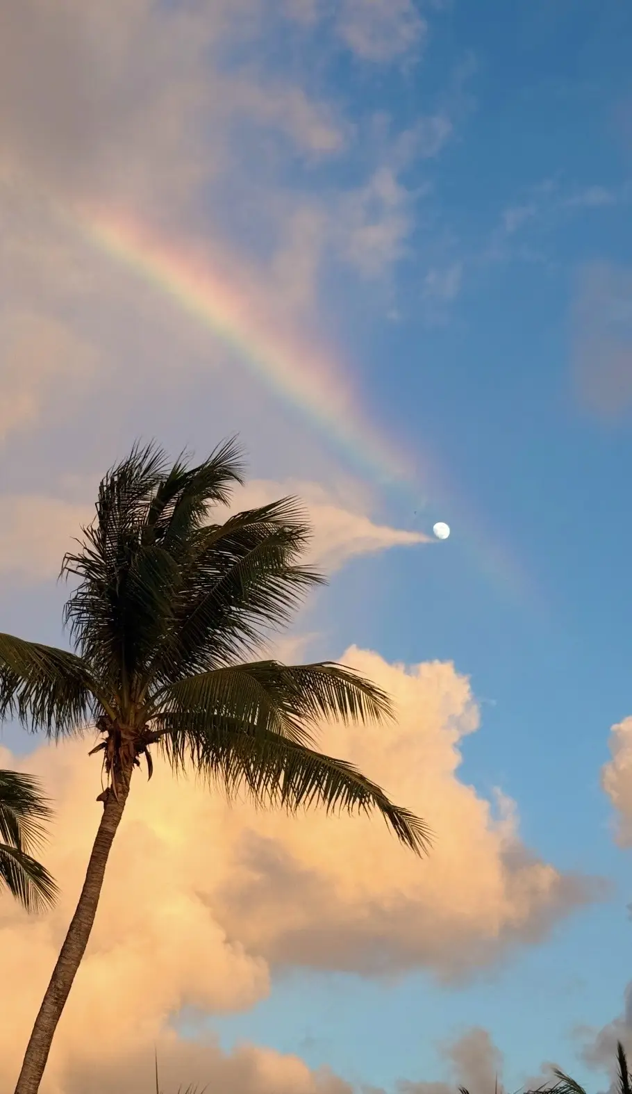 Evening view toward St. Martin from the terrace